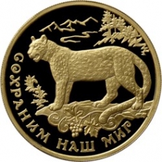 Золотая монета "Переднеазиатский леопард", 100 рублей, 2011 год, Au 999